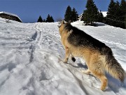 27 Evvai su una seconda bella ripida scorciatoia in direttissima !